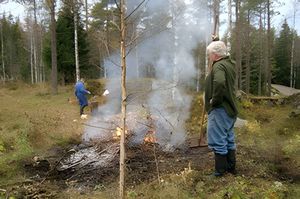 Städning vid skansen